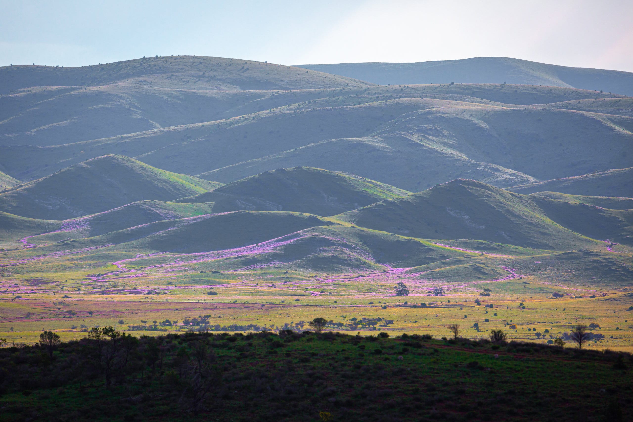 Bendleby Ranges | Camping, 4WD Tracks, Accommodation